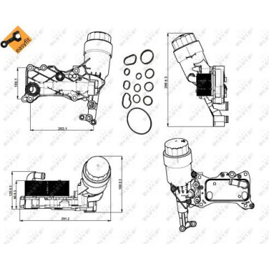 Ölkühler, Motor“L | 31350