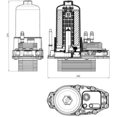 Ölkühler, Motor“L | 31831