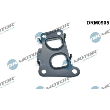 DR.MOTOR Dichtung, Agr-Ventil DRM0905