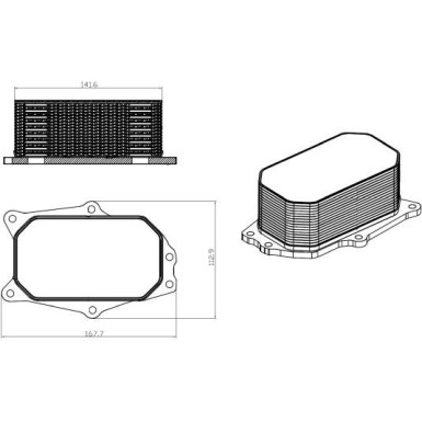 Ölkühler, Motor“L | 31825