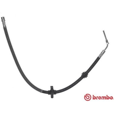 BREMBO Bremsschlauch | T 61 059