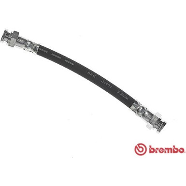 BREMBO Bremsschlauch | T 23 182