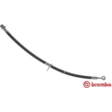 BREMBO Bremsschlauch | T 28 092