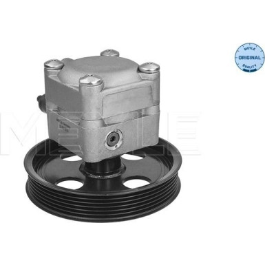 Servopumpe Volvo S/V 40 (07/95-06/04) | 5146310015