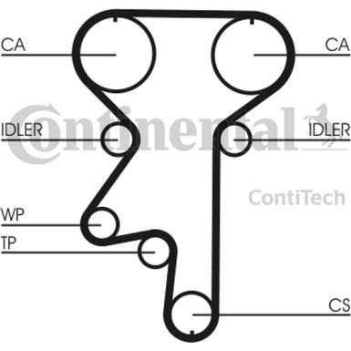 Zahnriemen | CT871