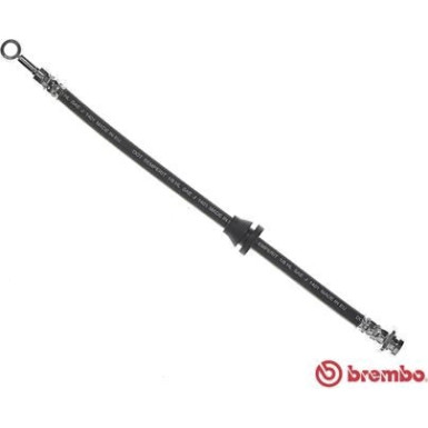 BREMBO Bremsschlauch | T 10 003