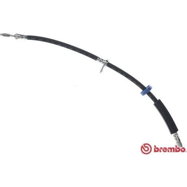 BREMBO Bremsschlauch | T 61 112