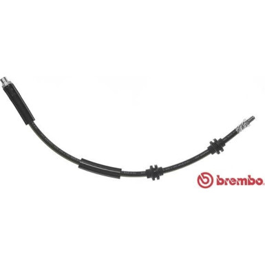 BREMBO Bremsschlauch | T 06 030