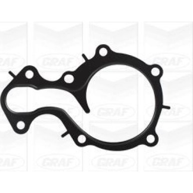 PA 1247 Wasserpumpe | FORD Focus 1.0 EcoBoost 12 | PA1247