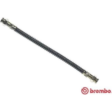 BREMBO Bremsschlauch | T 61 006