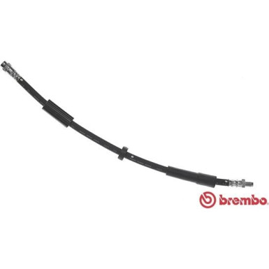 BREMBO Bremsschlauch | T 11 016