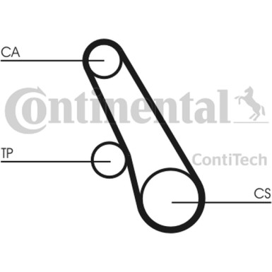 Zahnriemen | CT991