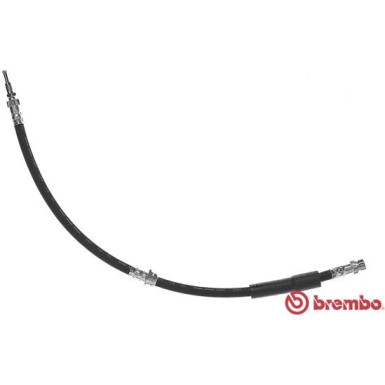 BREMBO Bremsschlauch | T 24 119