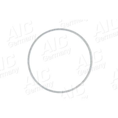 Sensorring ABS | BMW | 55333