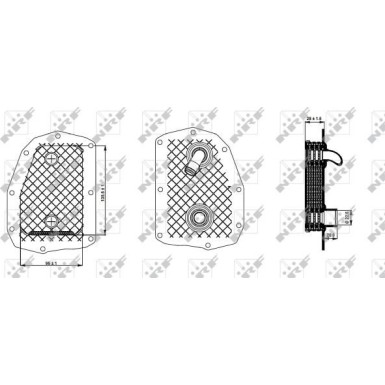 Ölkühler, Motor“L | 31352