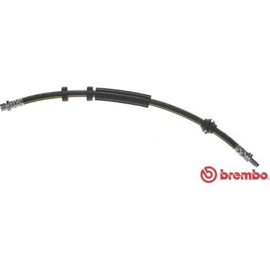 BREMBO Bremsschlauch | T 24 125