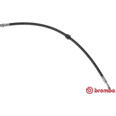 BREMBO Bremsschlauch | T 50 061