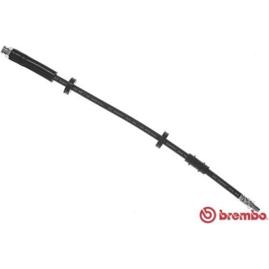 BREMBO Bremsschlauch | T 11 018