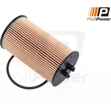 PROFIPOWER Ölfilter | 1F0013