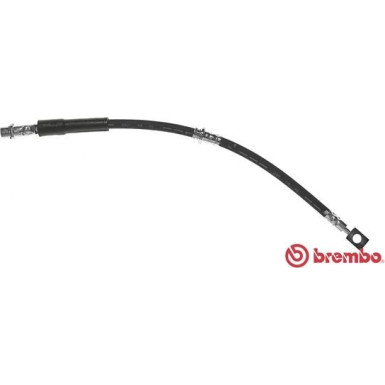 BREMBO Bremsschlauch | T 59 072