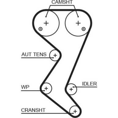 Zahnriemensatz | CITROEN C4,C5,C8,PEUGEOT 307 04 | K025608XS