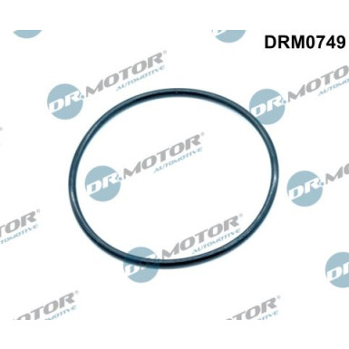 DR.MOTOR Dichtung, Ansaugkrümmer DRM0749