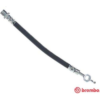 BREMBO Bremsschlauch | T 83 117