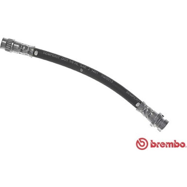 BREMBO Bremsschlauch | T 68 048