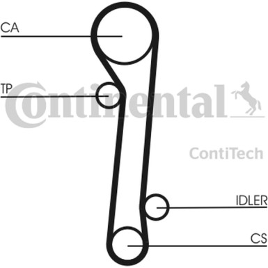 Zahnriemen | CT781
