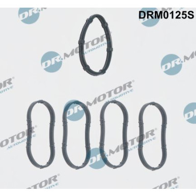 DR.MOTOR Dichtungssatz, Ansaugkrümmer DRM0125S