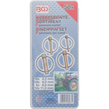 BGS Klappsplinte-Sortiment | 50-tlg | 8087