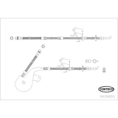 CORTECO Bremsschlauch | 19036855