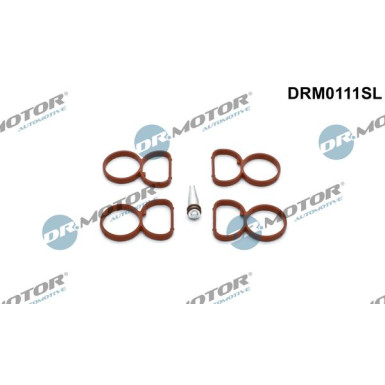 DR.MOTOR Dichtungssatz, Ansaugkrümmer DRM0111SL