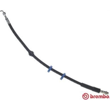 BREMBO Bremsschlauch | T 61 128