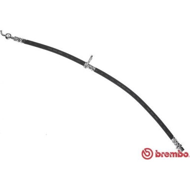 BREMBO Bremsschlauch | T 11 013