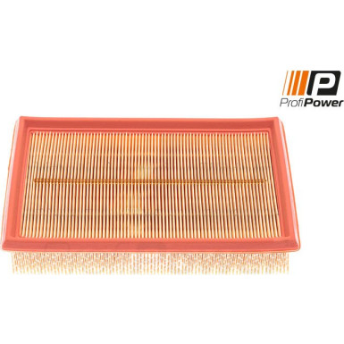 PROFIPOWER Luftfilter | 2F0073