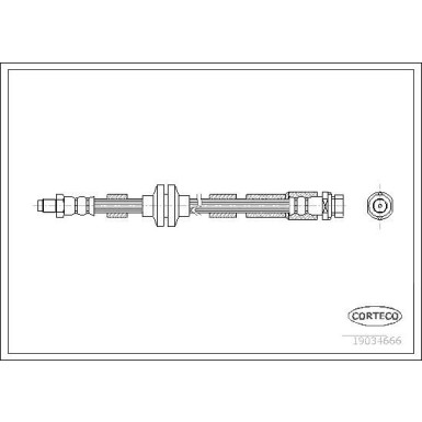 CORTECO Bremsschlauch | 19034666