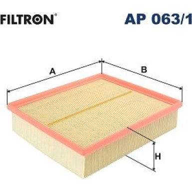 FILTRON Luftfilter | AP 063/1