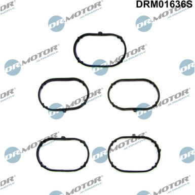 DR.MOTOR Dichtungssatz, Ansaugkrümmer DRM01636S