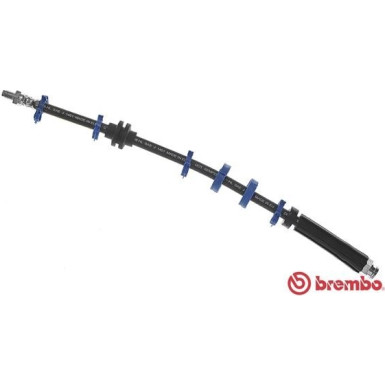 BREMBO Bremsschlauch | T 23 112