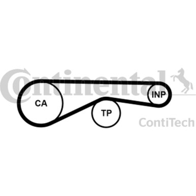 Zahnriemen | CT1095
