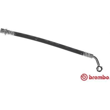 BREMBO Bremsschlauch | T 83 093