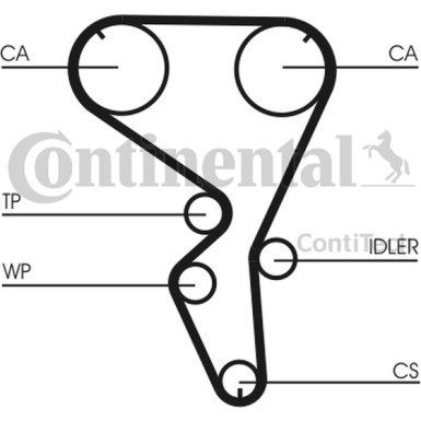 Zahnriemen | CT1101