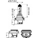 12V CAR LIGHTING 12V HEADLIGHTING H11 | PH12362LLECOC1