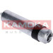 KAMOKA Kraftstofffilter | F316601