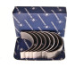 Pleuellager | 77555620 Pleuellager | 77555620