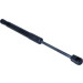Gasfeder, Motorhaube | 234457 Gasfeder, Motorhaube | 234457