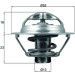Thermostateinsatz mit Dichtung | RENAULT Clio/Megane 05 | TX 175 95D