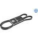 Keilrippenriemen 6Pk1610 | 500061610 Keilrippenriemen 6Pk1610 | 500061610