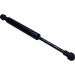 Gasfeder, Motorhaube | 229343 Gasfeder, Motorhaube | 229343